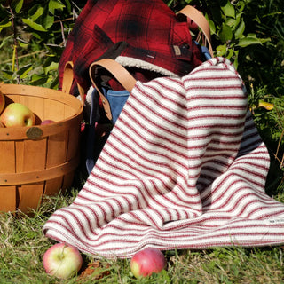 Ticking Stripe Organic Wool and Cotton Throw in cayenne red