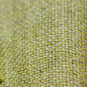 Tarragon