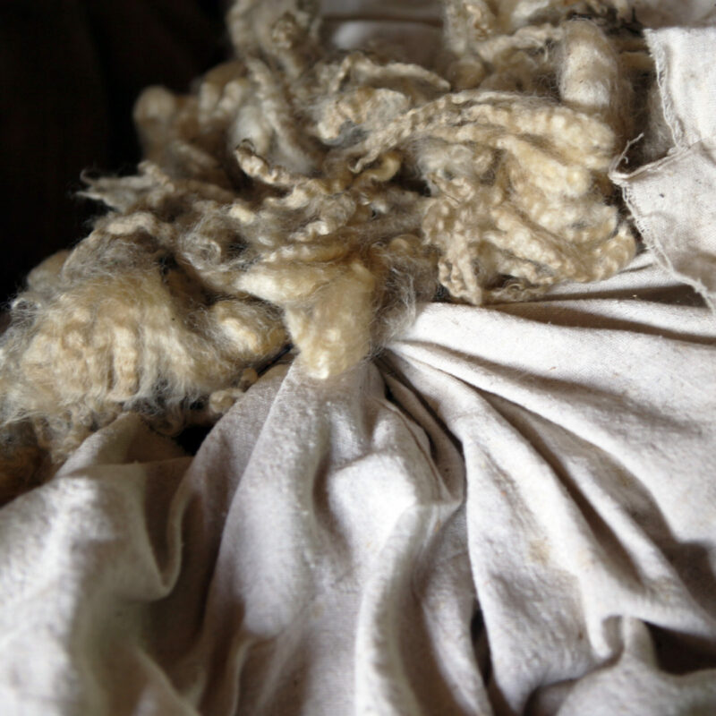 A bag of raw wool fleece waiting to be processed into yarn for Swans Island Company.
