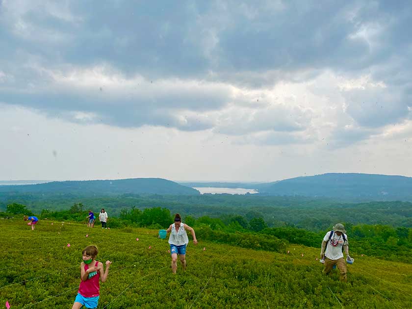 Beech Hill