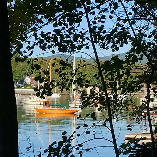 Camden Harbor