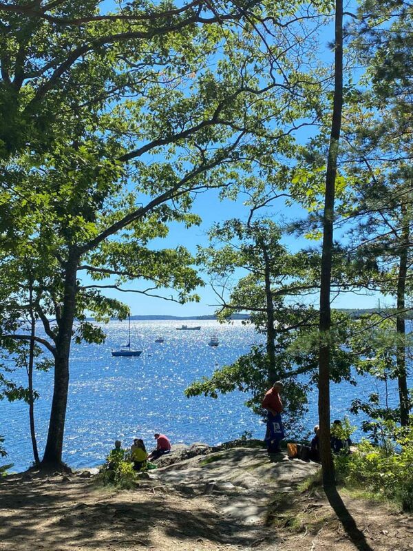harbor through trees