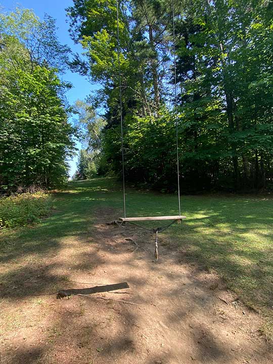 tree swing