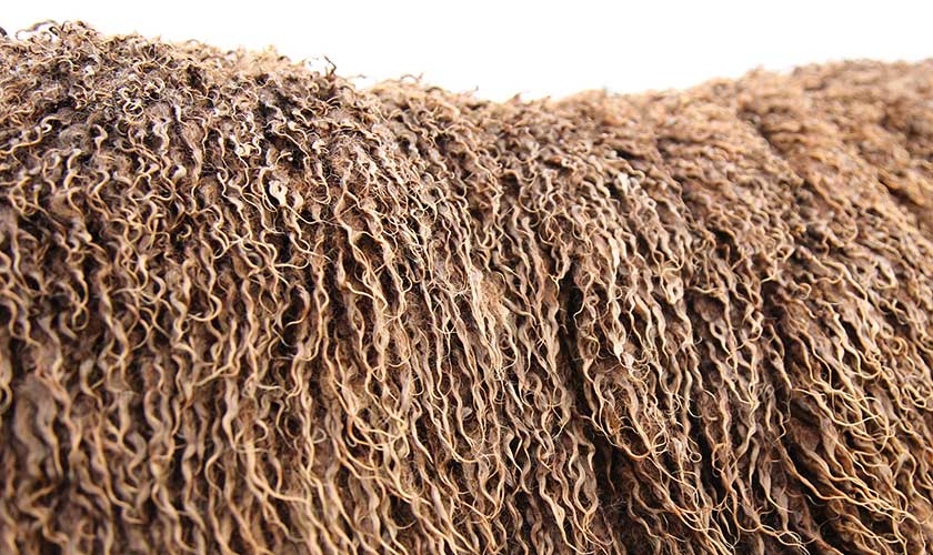 raw wool hanging