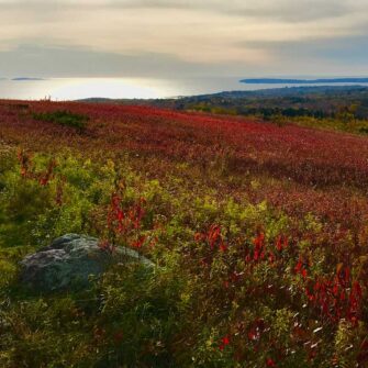 Swans Island Company's Autumn in New England Limited Edition Throw is inspired by the vibrant colors of the Maine landscape in the fall.
