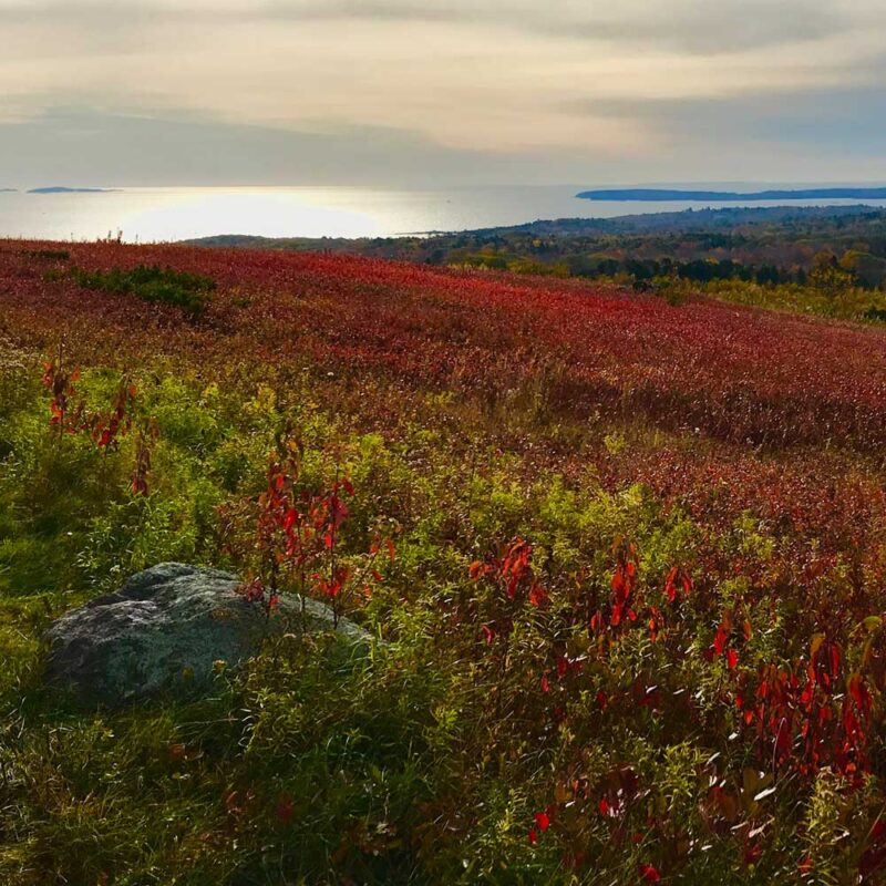 Swans Island Company's Autumn in New England Limited Edition Throw is inspired by the vibrant colors of the Maine landscape in the fall.